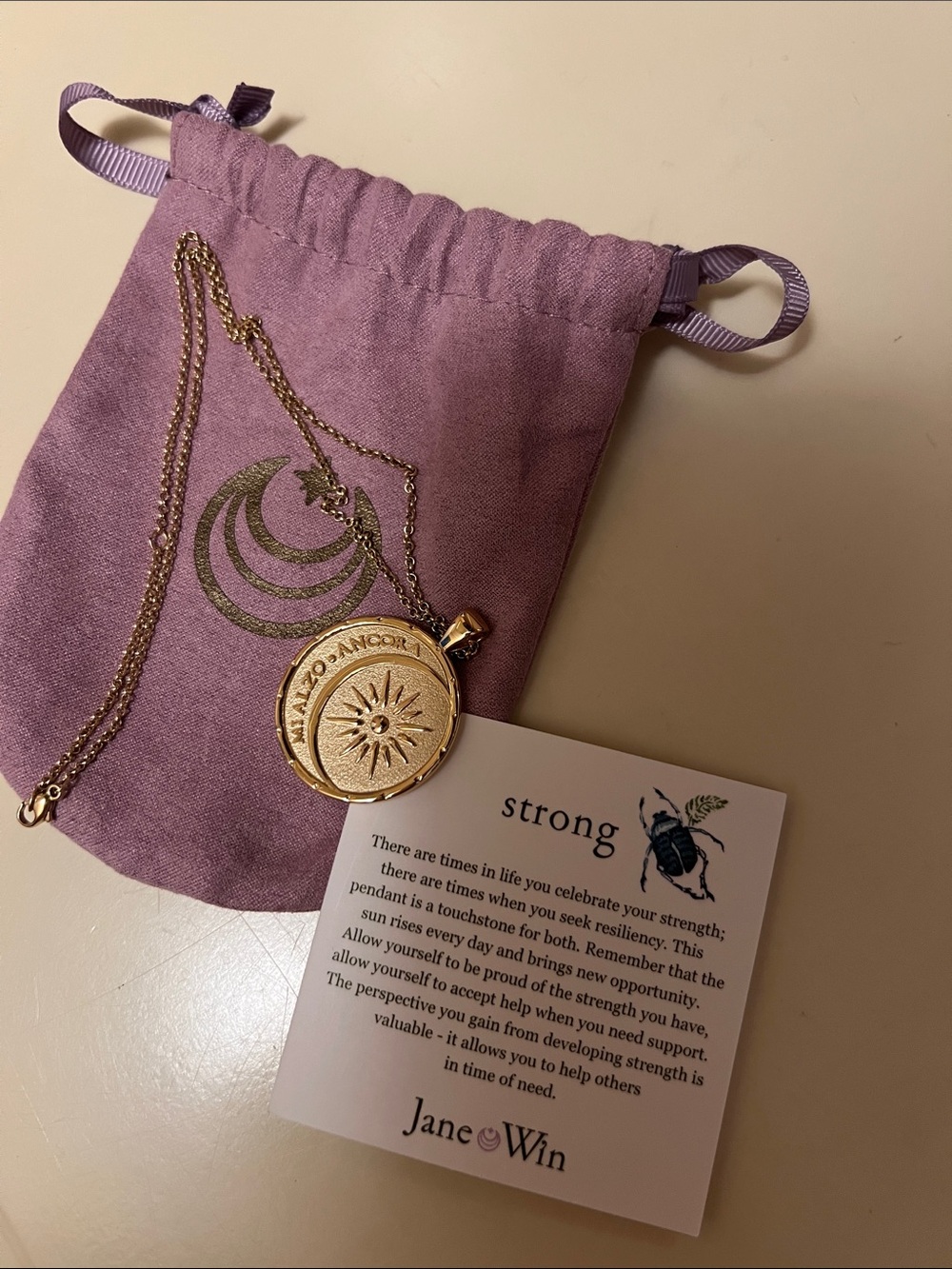 Jane Win Gold Compass Medallion Necklace in Lavender Pouch